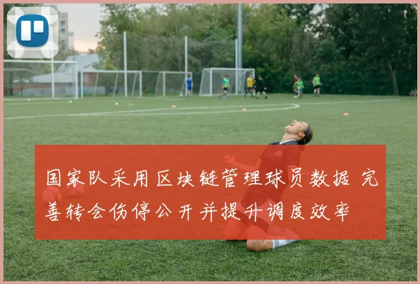 国家队采用区块链管理球员数据 完善转会伤停公开并提升调度效率